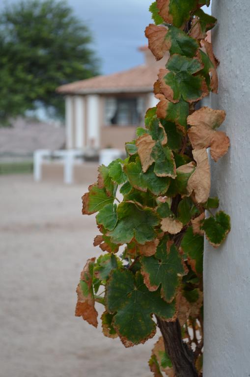 Finca El Carmen Guest House Angastaco Exterior photo